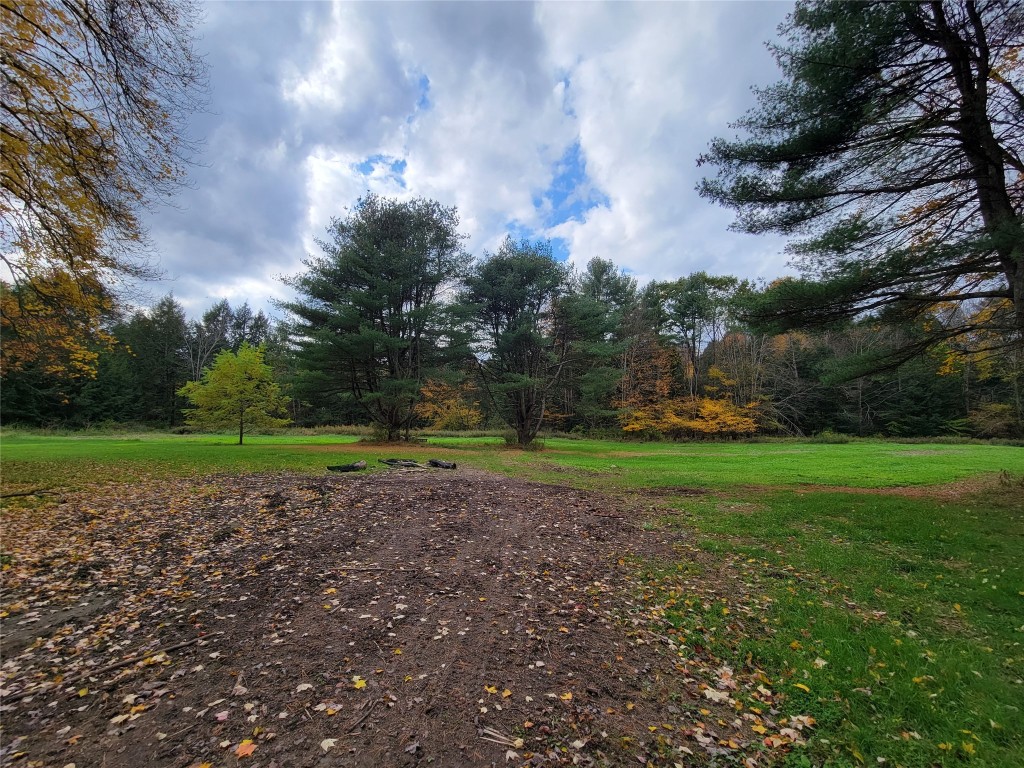 264 Midland Road Afton, NY 13813 - Photo 37 of 42
