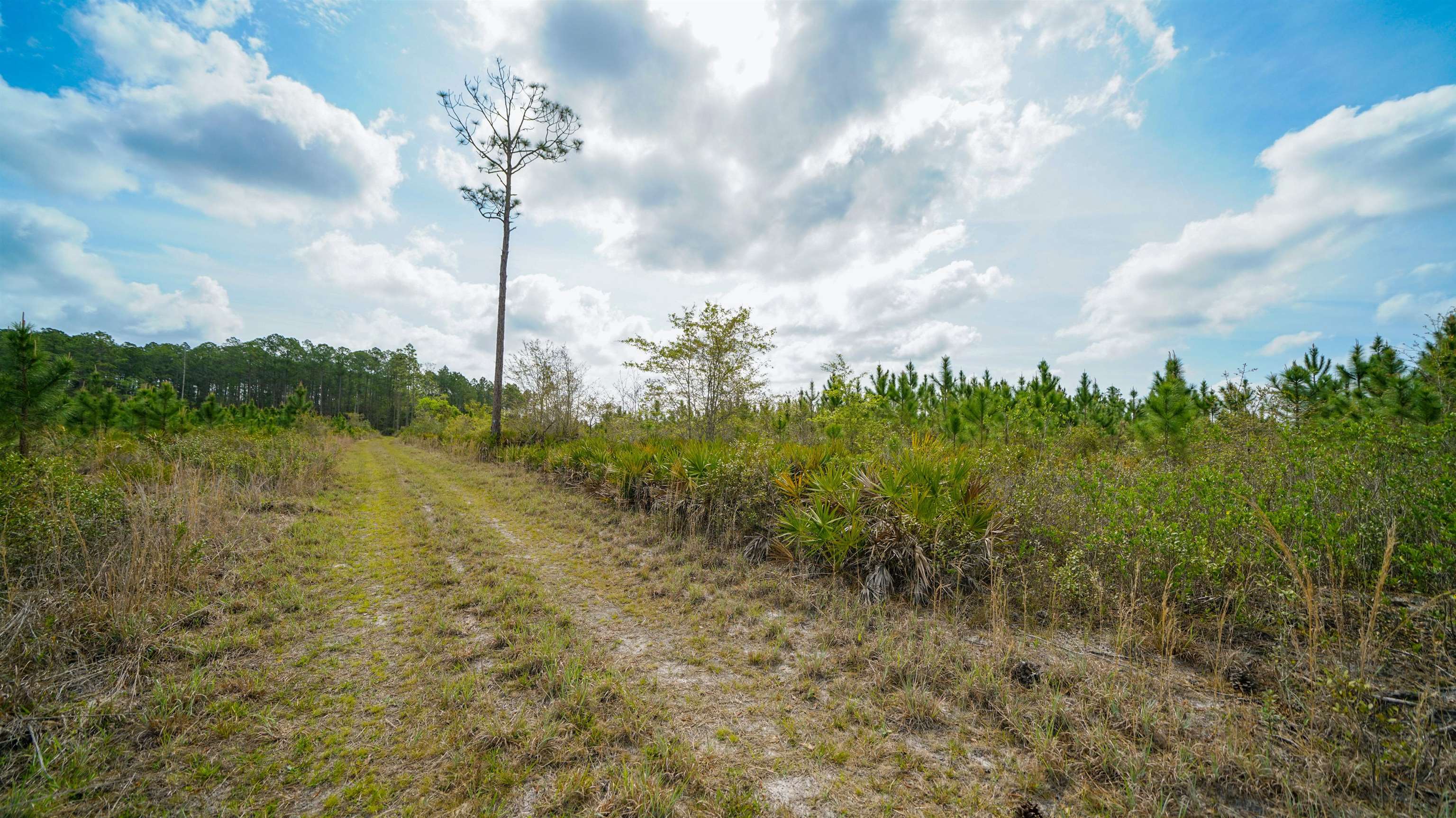 0 Fox Road Palatka, FL 32177 - Photo 16 of 17