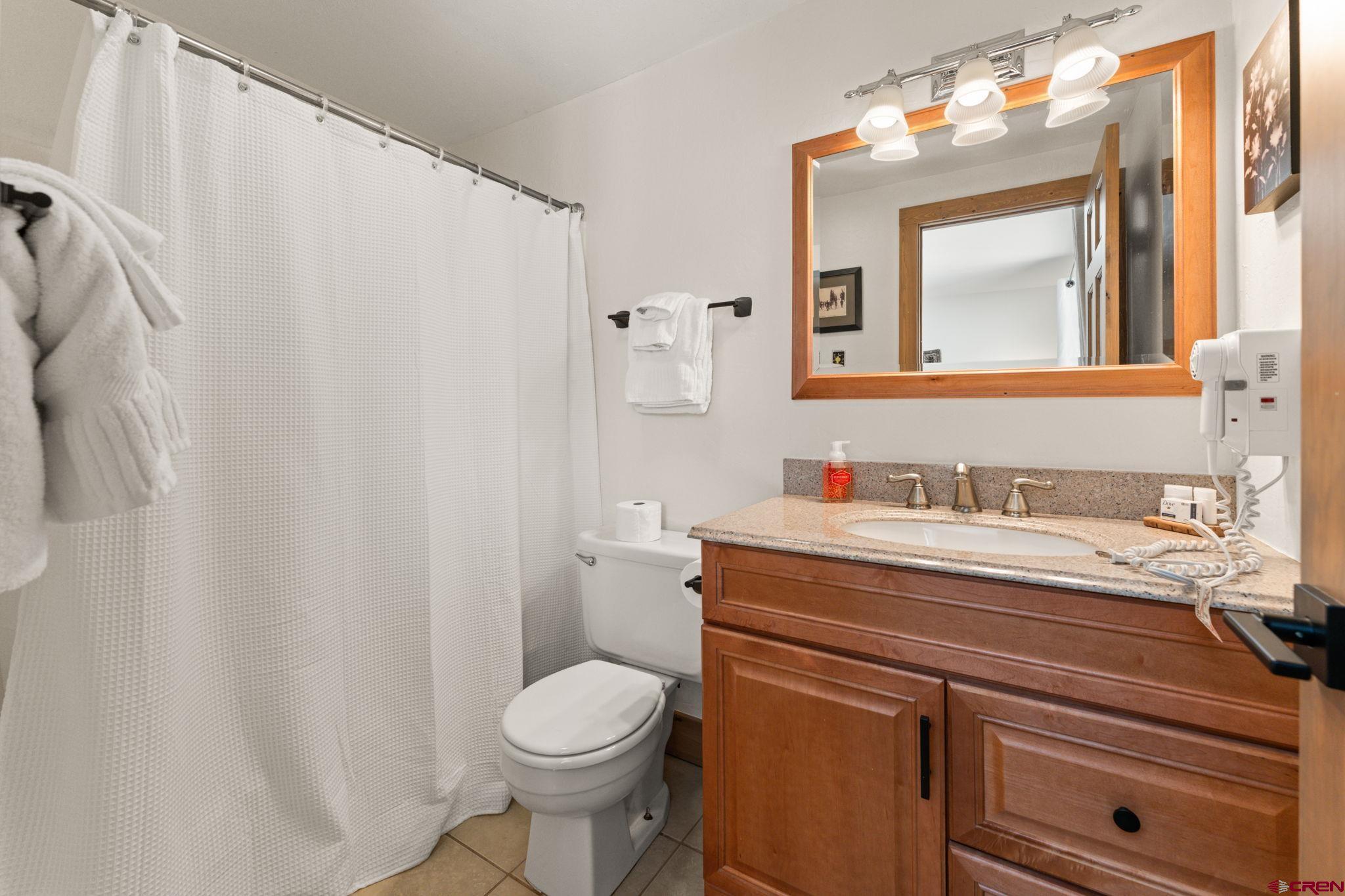 651 Gothic Road, Unit D409 Crested Butte, CO 81225 - Photo 25 of 41 Gallery Image 25