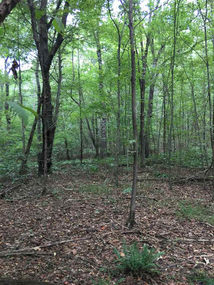 0 Rochester Road Morgantown, KY 42261 - Photo 10 of 22 Gallery Image 10