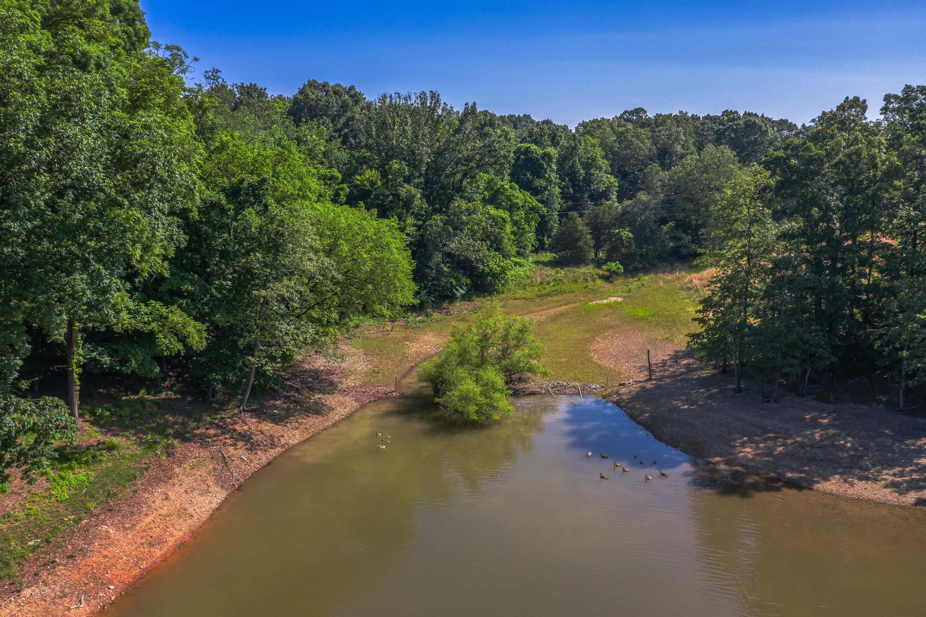 1675 Rines Road Talbott, TN 37877 - Photo 35 of 44 Property-13.jpg-SMALL