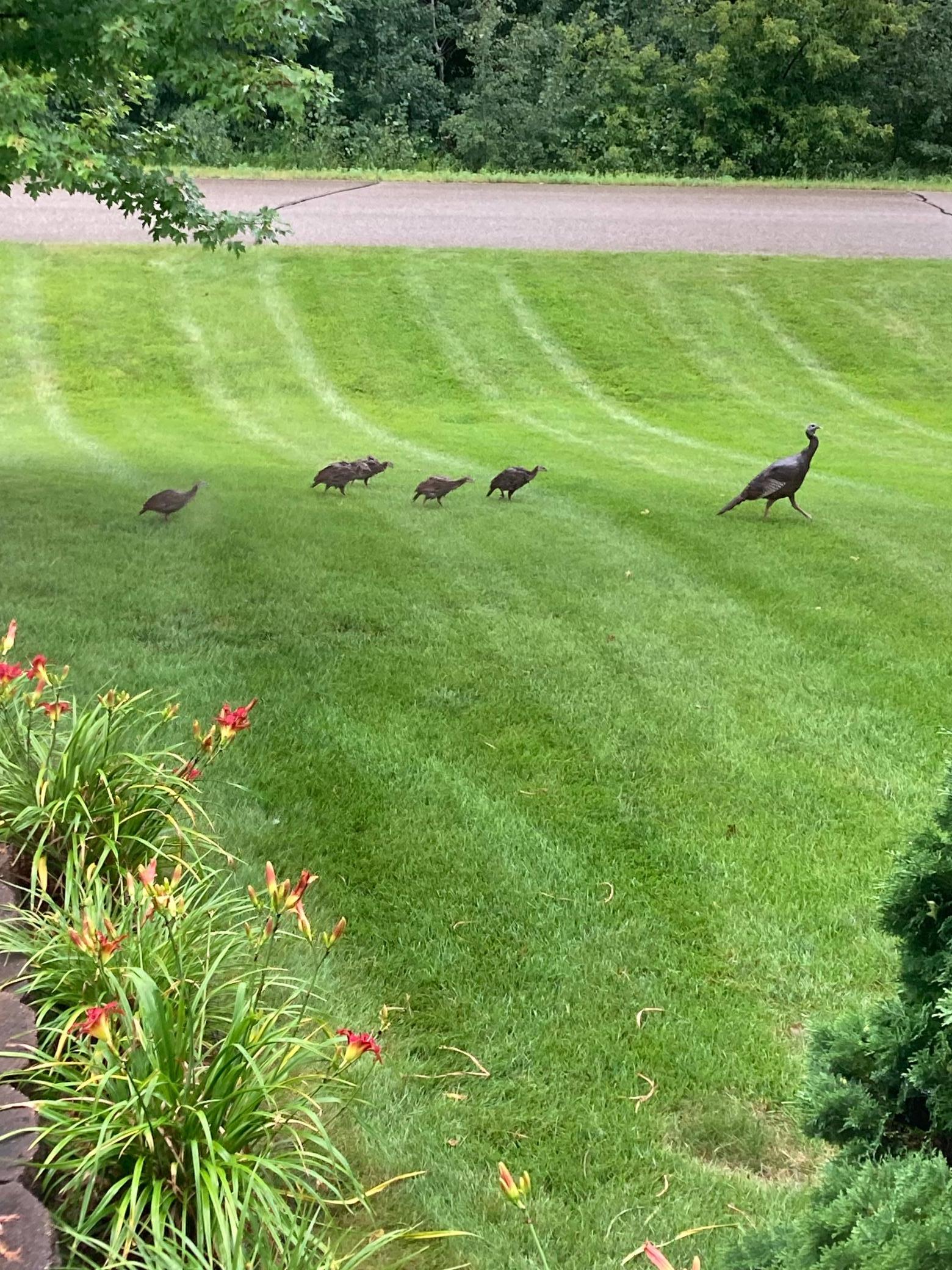 3177 Lakecrest Road Northeast Alexandria, MN 56308 - Photo 5 of 70