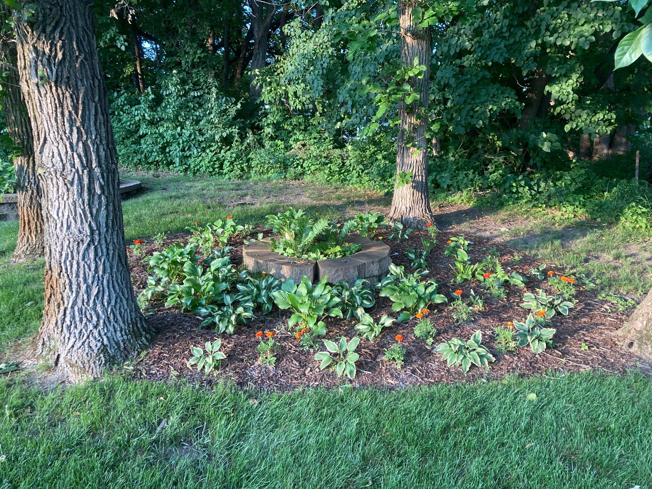 3177 Lakecrest Road Northeast Alexandria, MN 56308 - Photo 69 of 70