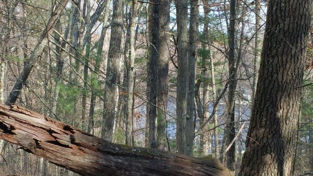 Lot 1 Daniels Road Charlton, MA 01507 - Photo 2 of 11 a backyard of a house with lots of green space