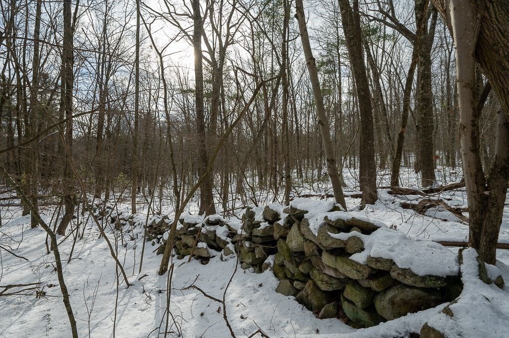 Lot 1 Daniels Road Charlton, MA 01507 - Photo 6 of 11 a view of open space with lots of trees