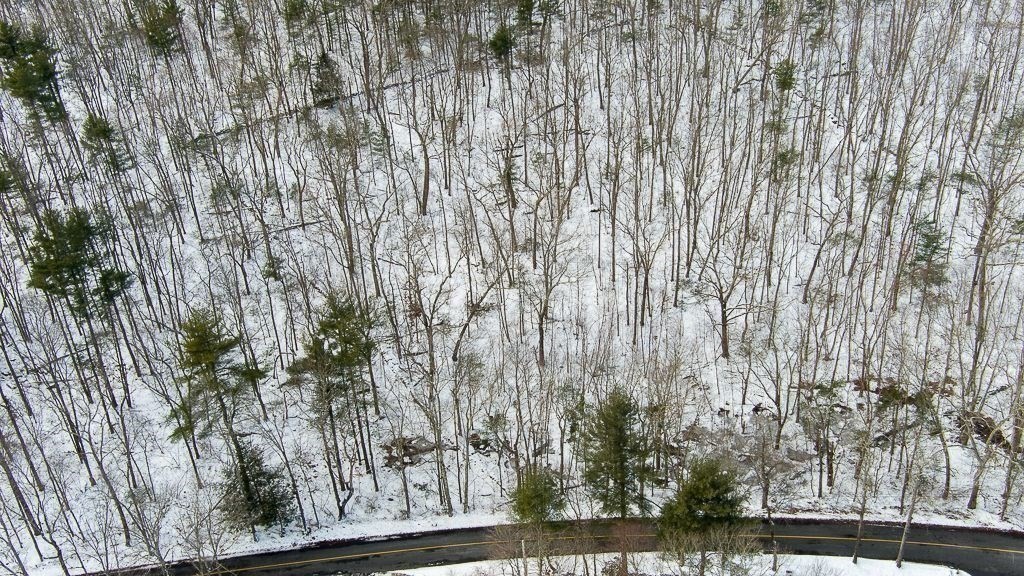 Lot 1 Daniels Road Charlton, MA 01507 - Photo 7 of 11 a view of a yard with wooden floor