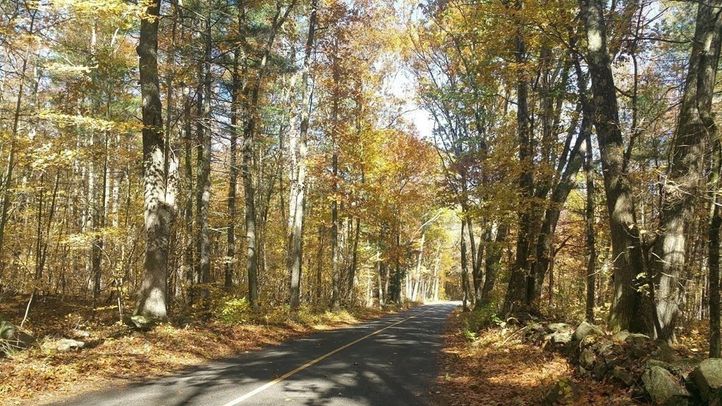 Lot 1 Daniels Road Charlton, MA 01507 - Photo 8 of 11 a view of yard