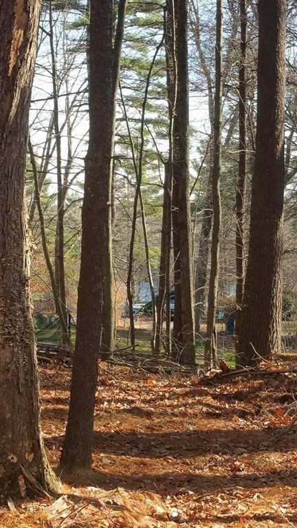 Lot 1 Daniels Road Charlton, MA 01507 - Photo 10 of 11 a view of outdoor space with street view