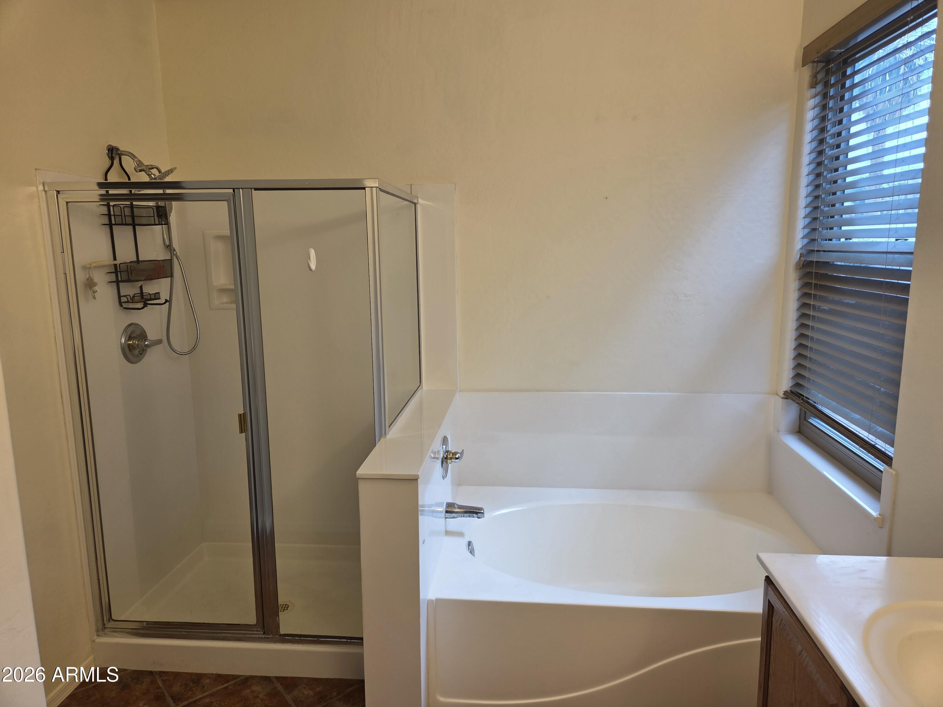 7809 South 18th Way Phoenix, AZ 85042 - Photo 44 of 52 20260211_122645