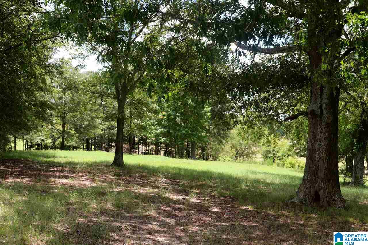 755 Back Bone Road Blountsville, AL 35031 - Photo 32 of 39