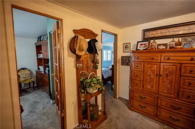 a view of walk in closet