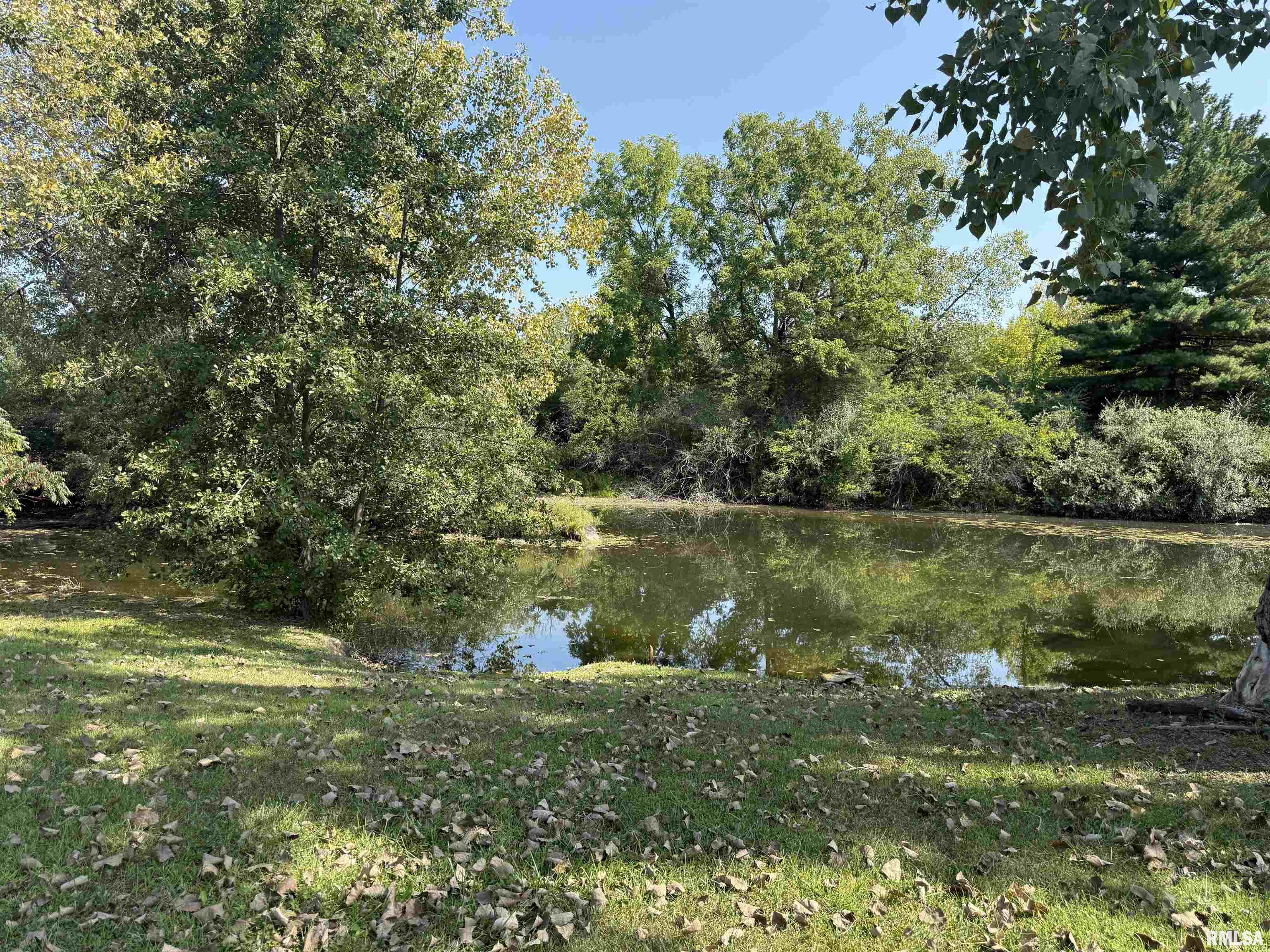 16265 East Cherokee Road Cuba, IL 61427 - Photo 17 of 51