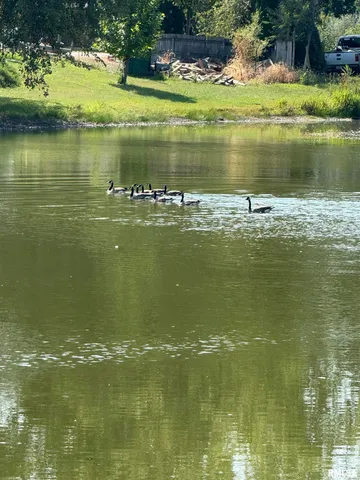 $166,000 | 16265 East Cherokee Road, Cuba, IL 61427