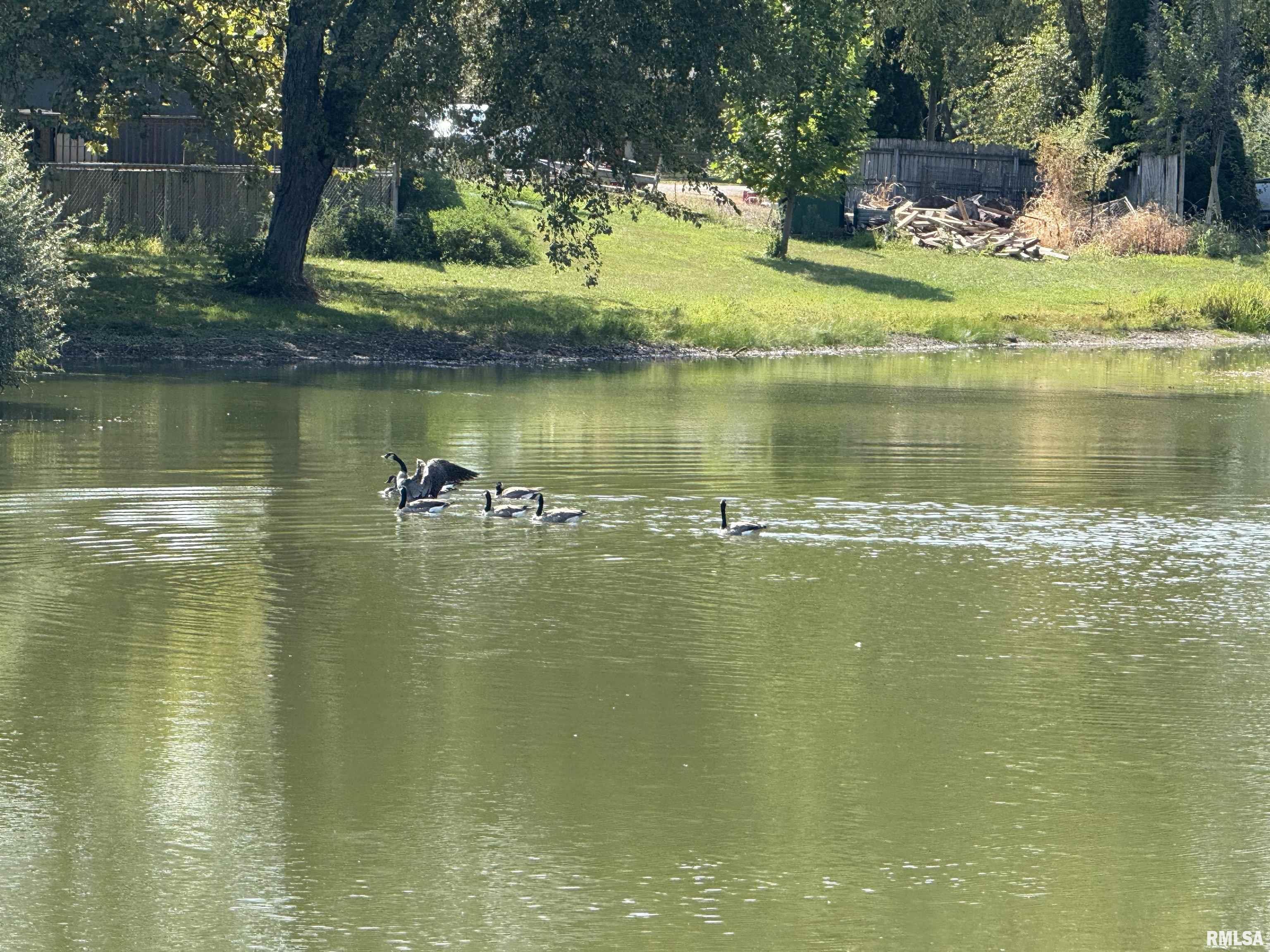 16265 East Cherokee Road Cuba, IL 61427 - Photo 6 of 51