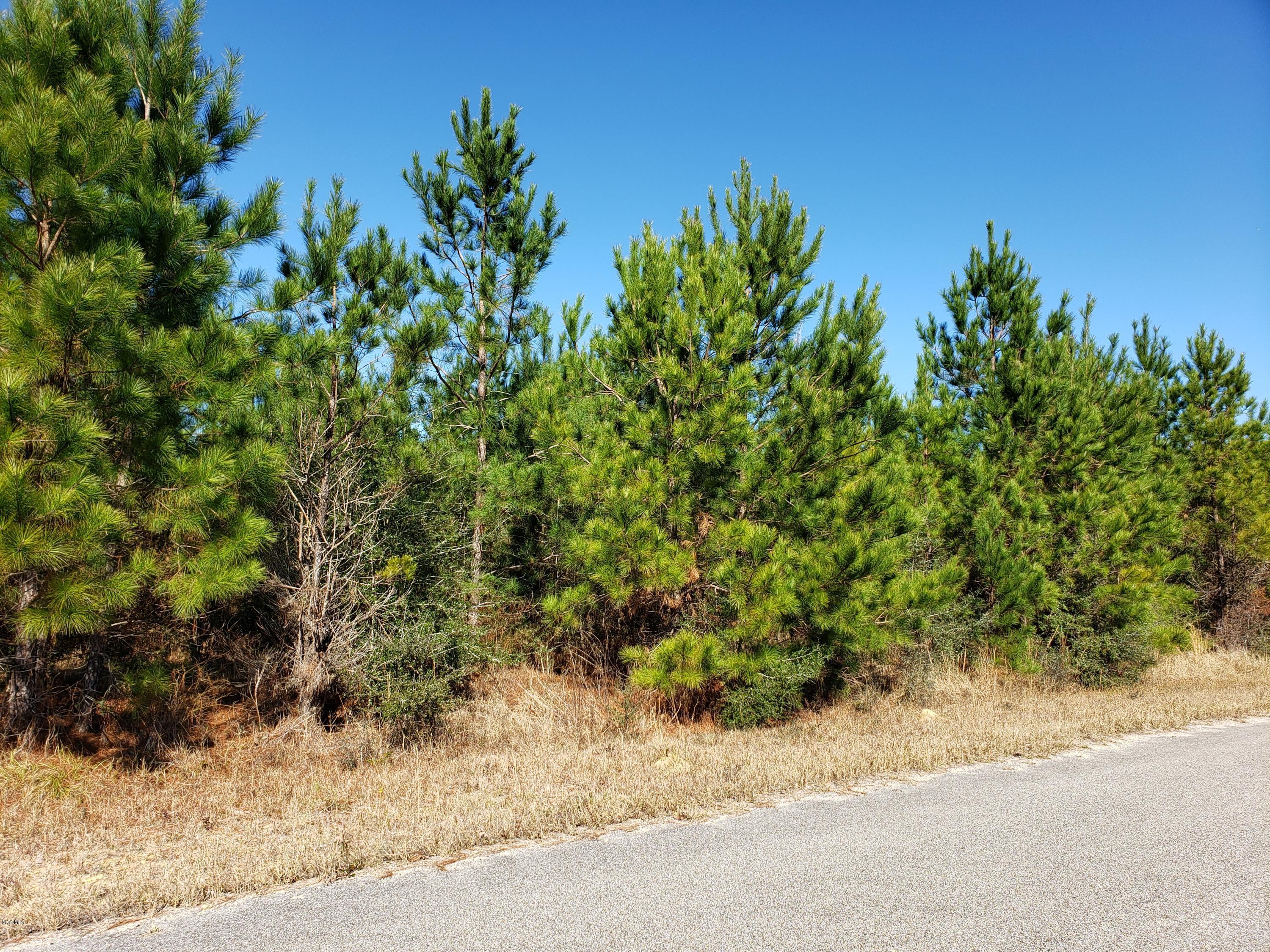 11 Clear Lake Road Perkinston, MS 39573 - Photo 1 of 4 Lot 11