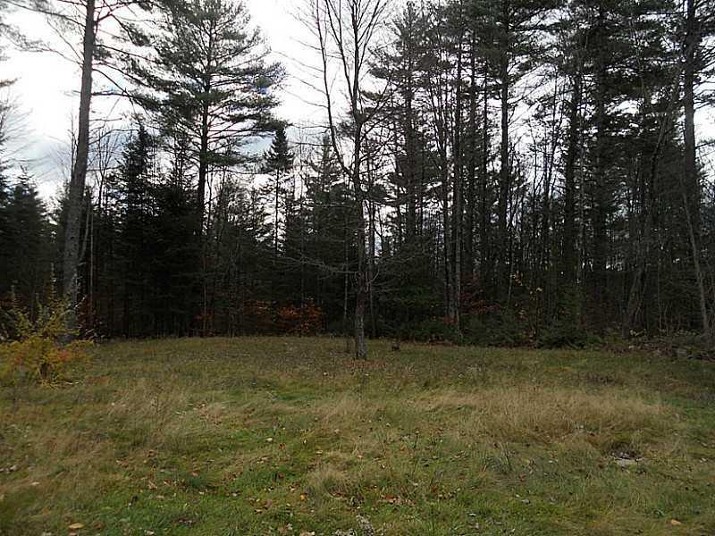 1198 South Solon Road Solon, ME 04979 - Photo 20 of 20 Yard/Garden.