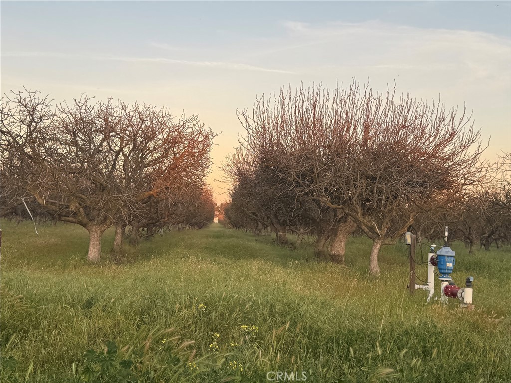 0 Road 30 Madera, CA 93638 - Photo 1 of 15