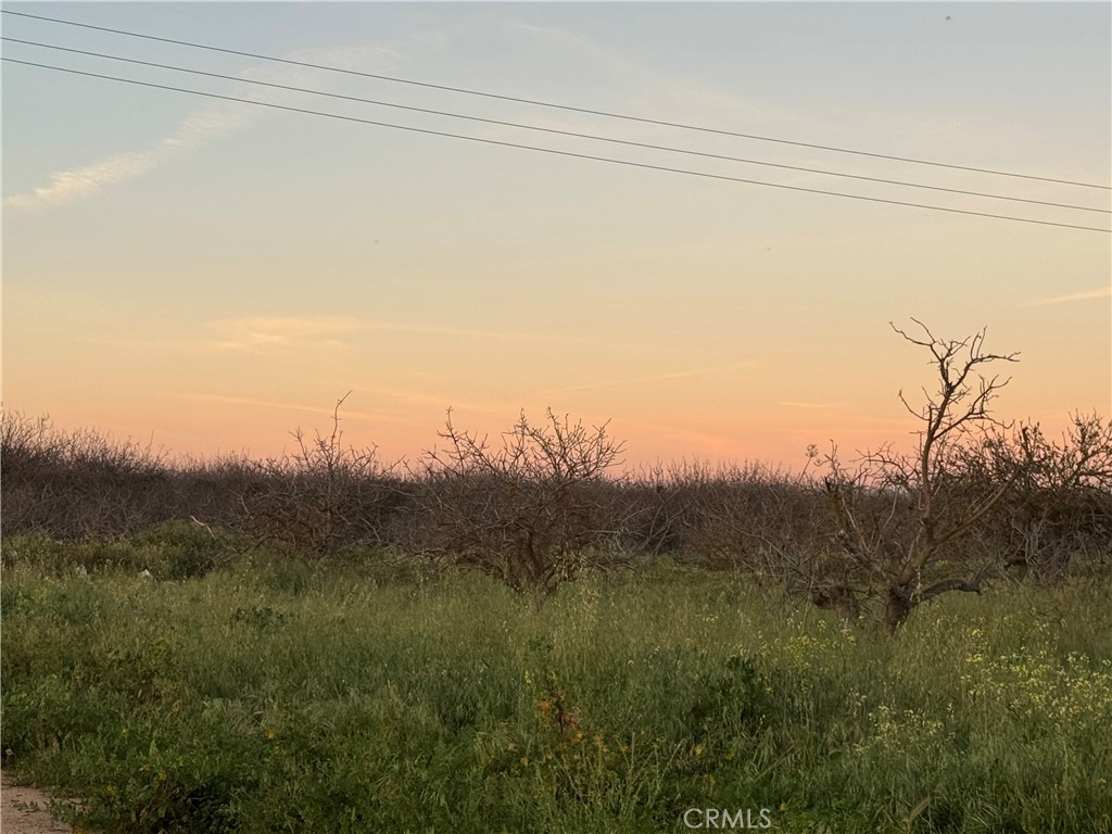 0 Road 30 Madera, CA 93638 - Photo 12 of 15