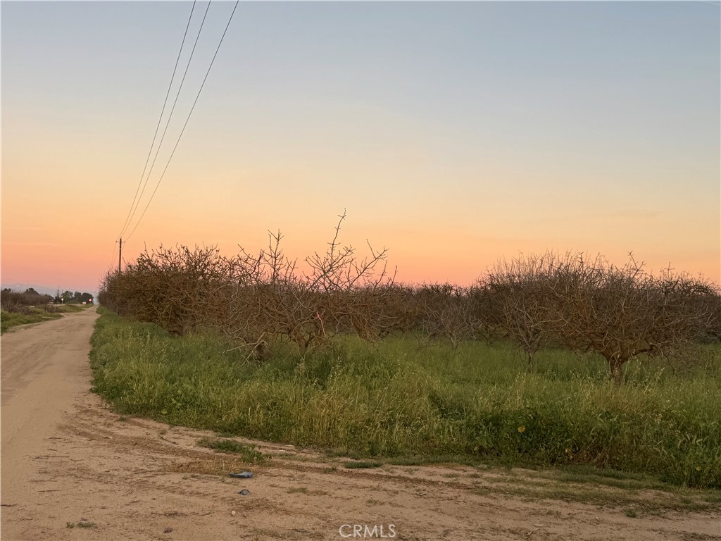 0 Road 30 Madera, CA 93638 - Photo 13 of 15