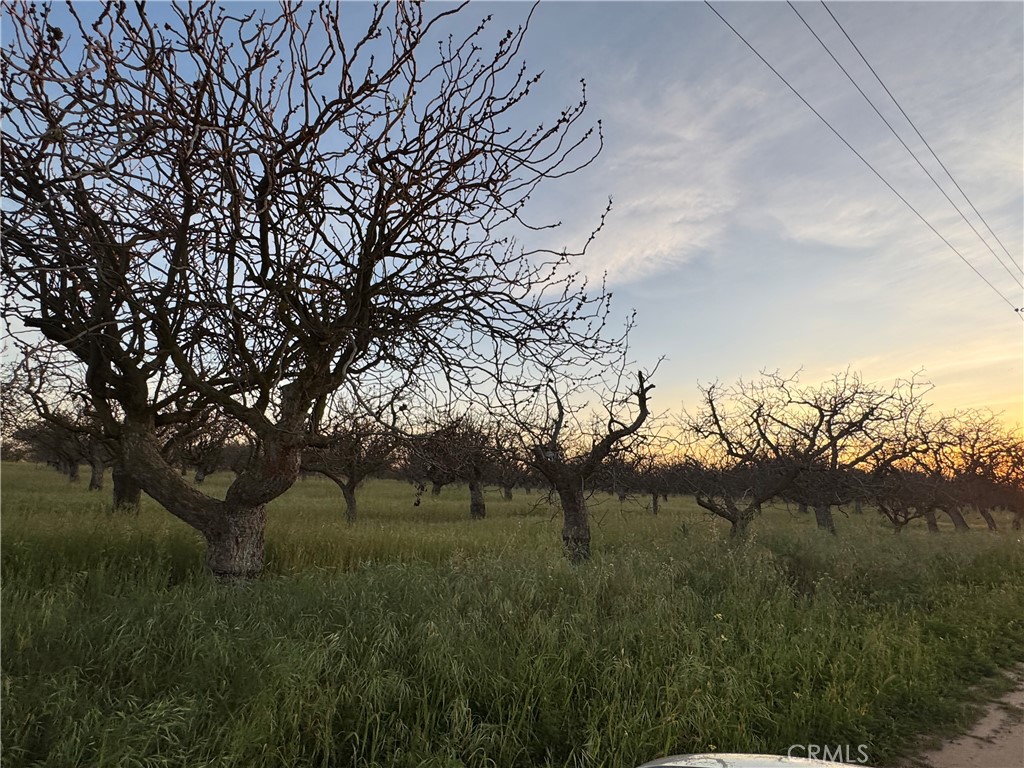 0 Road 30 Madera, CA 93638 - Photo 2 of 15