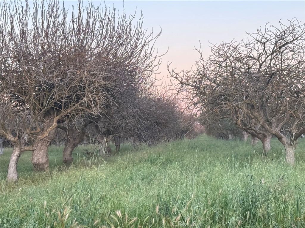 0 Road 30 Madera, CA 93638 - Photo 3 of 15