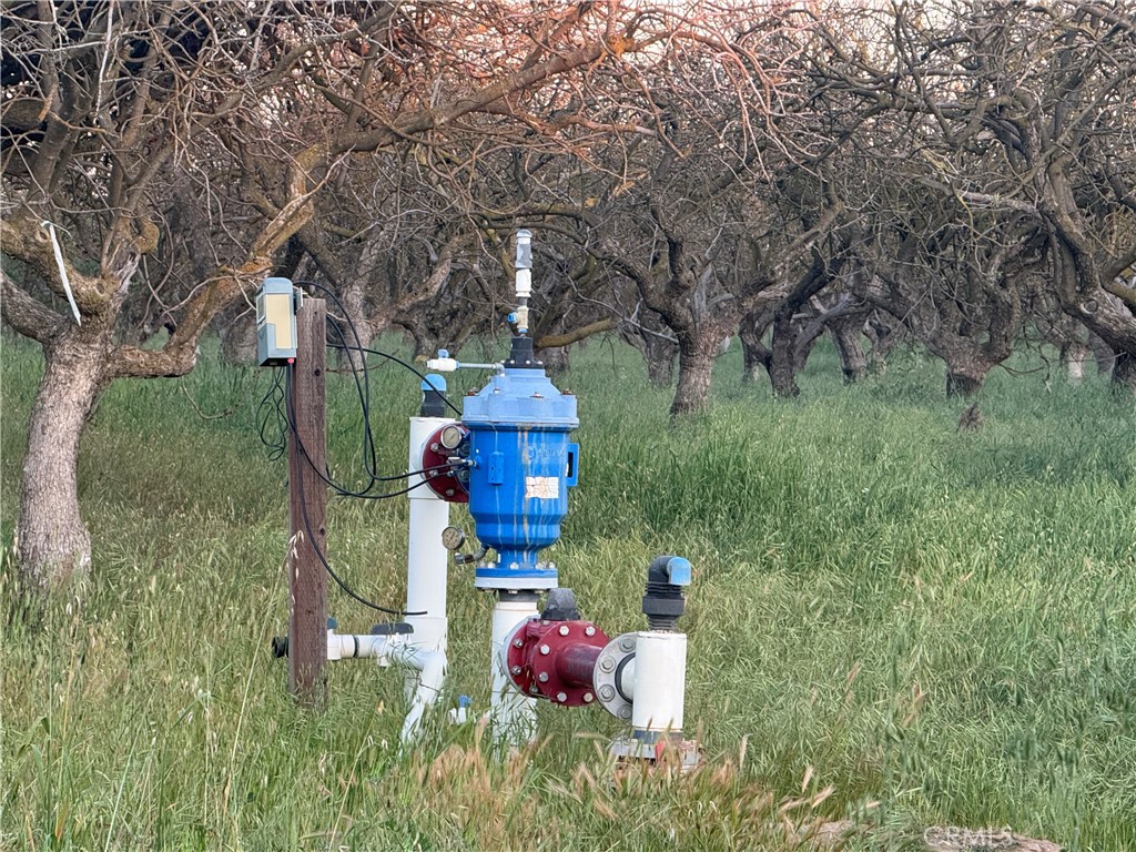 0 Road 30 Madera, CA 93638 - Photo 4 of 15