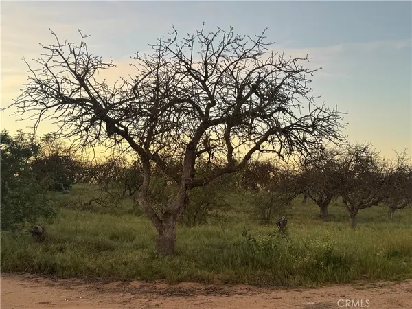 $240,000 | 0 Road 30, Madera, CA 93638