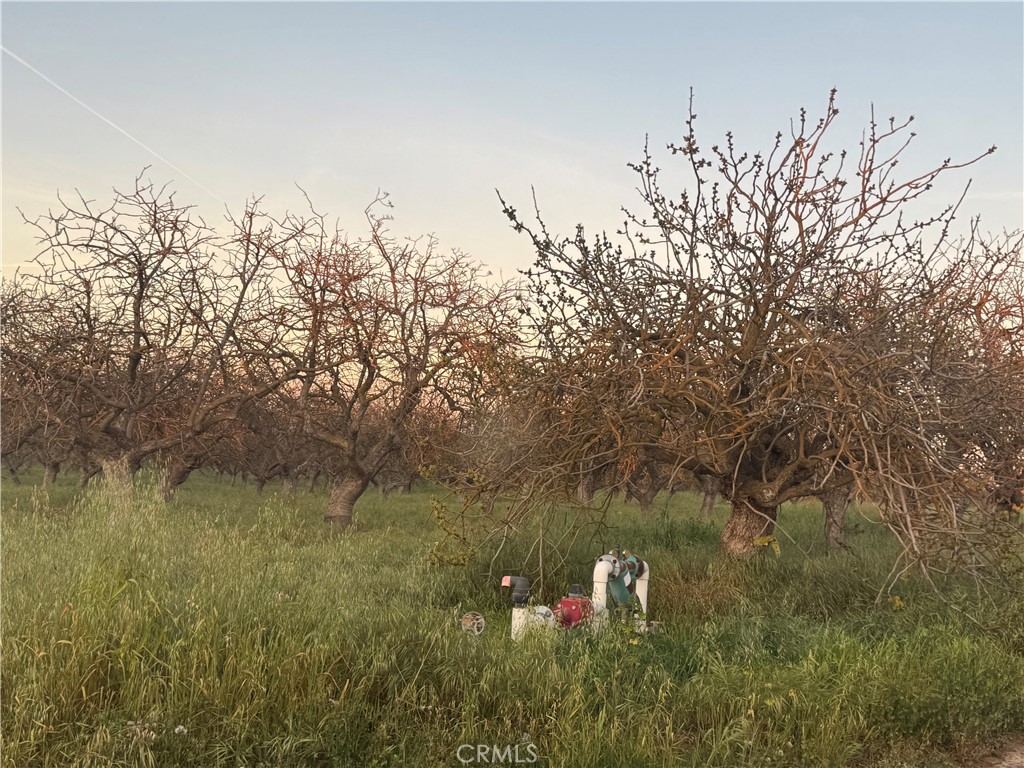 0 Road 30 Madera, CA 93638 - Photo 7 of 15
