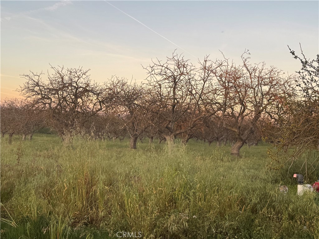 0 Road 30 Madera, CA 93638 - Photo 8 of 15