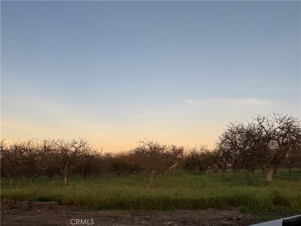 0 Road 30 Madera, CA 93638 - Photo 9 of 15