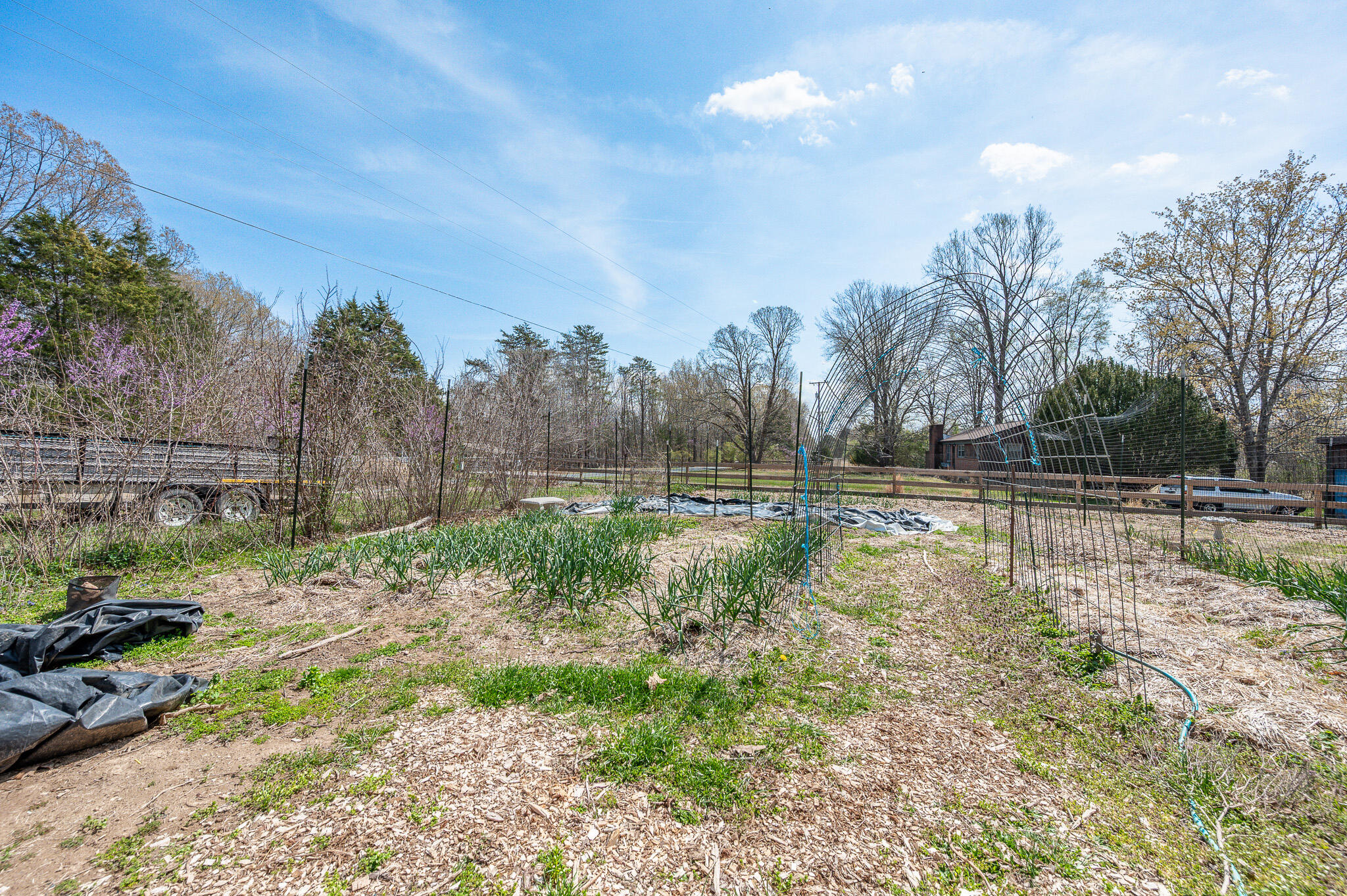 1481 Winesap Road Madison Heights, VA 24572 - Photo 27 of 43 27