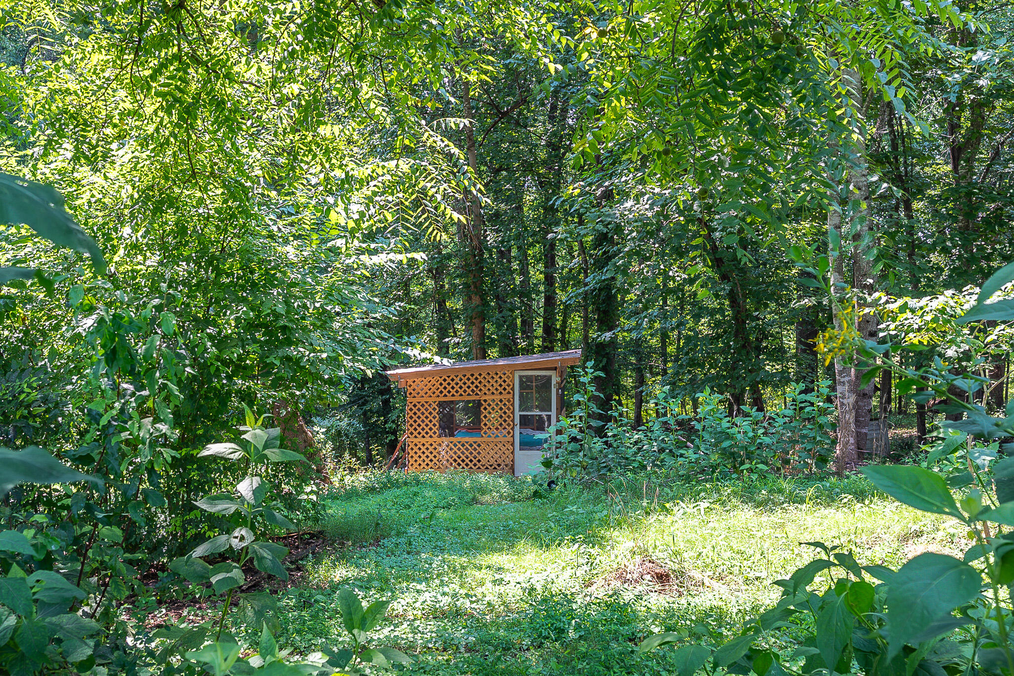 1481 Winesap Road Madison Heights, VA 24572 - Photo 31 of 43 31