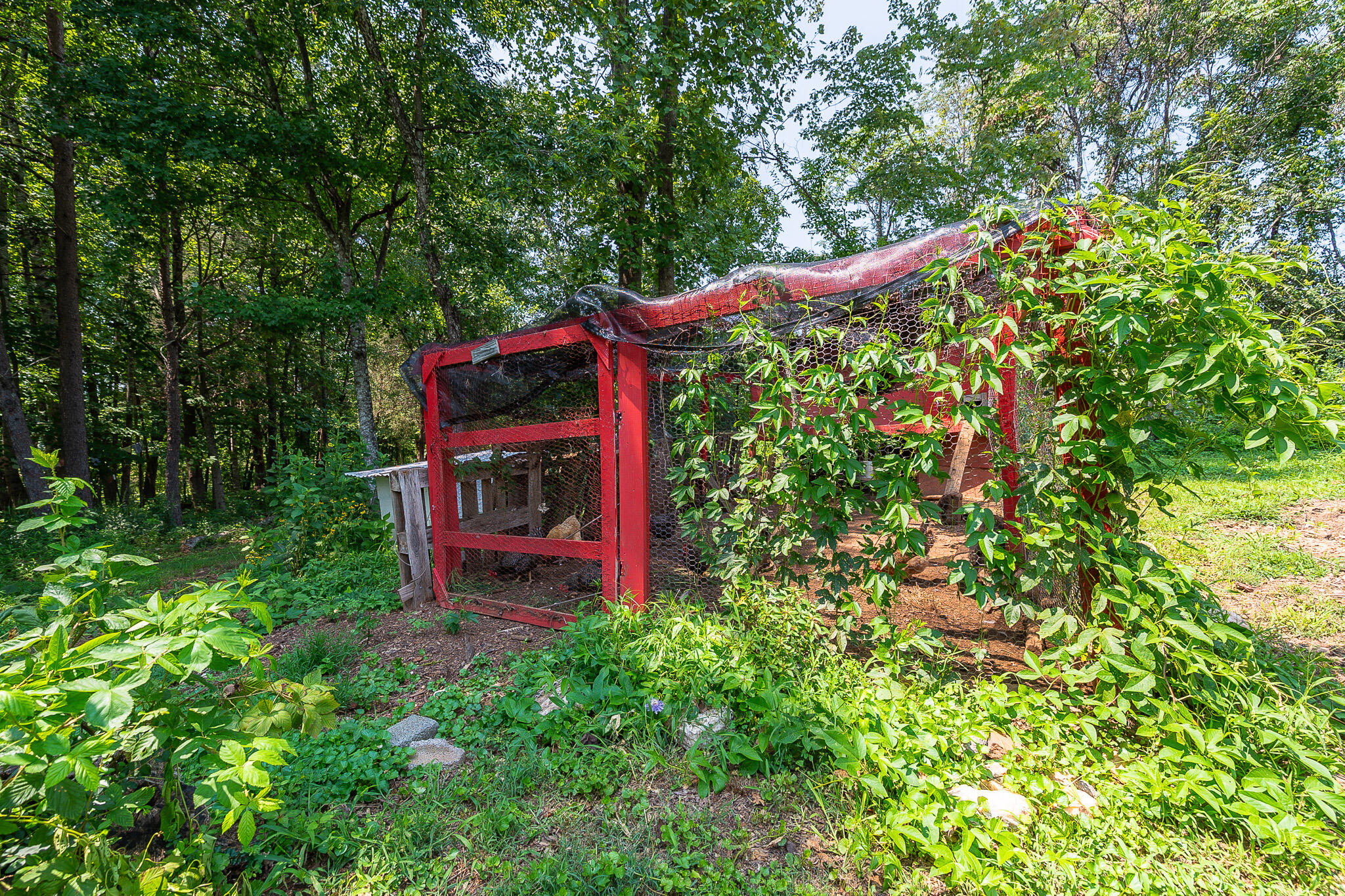 1481 Winesap Road Madison Heights, VA 24572 - Photo 35 of 43 35