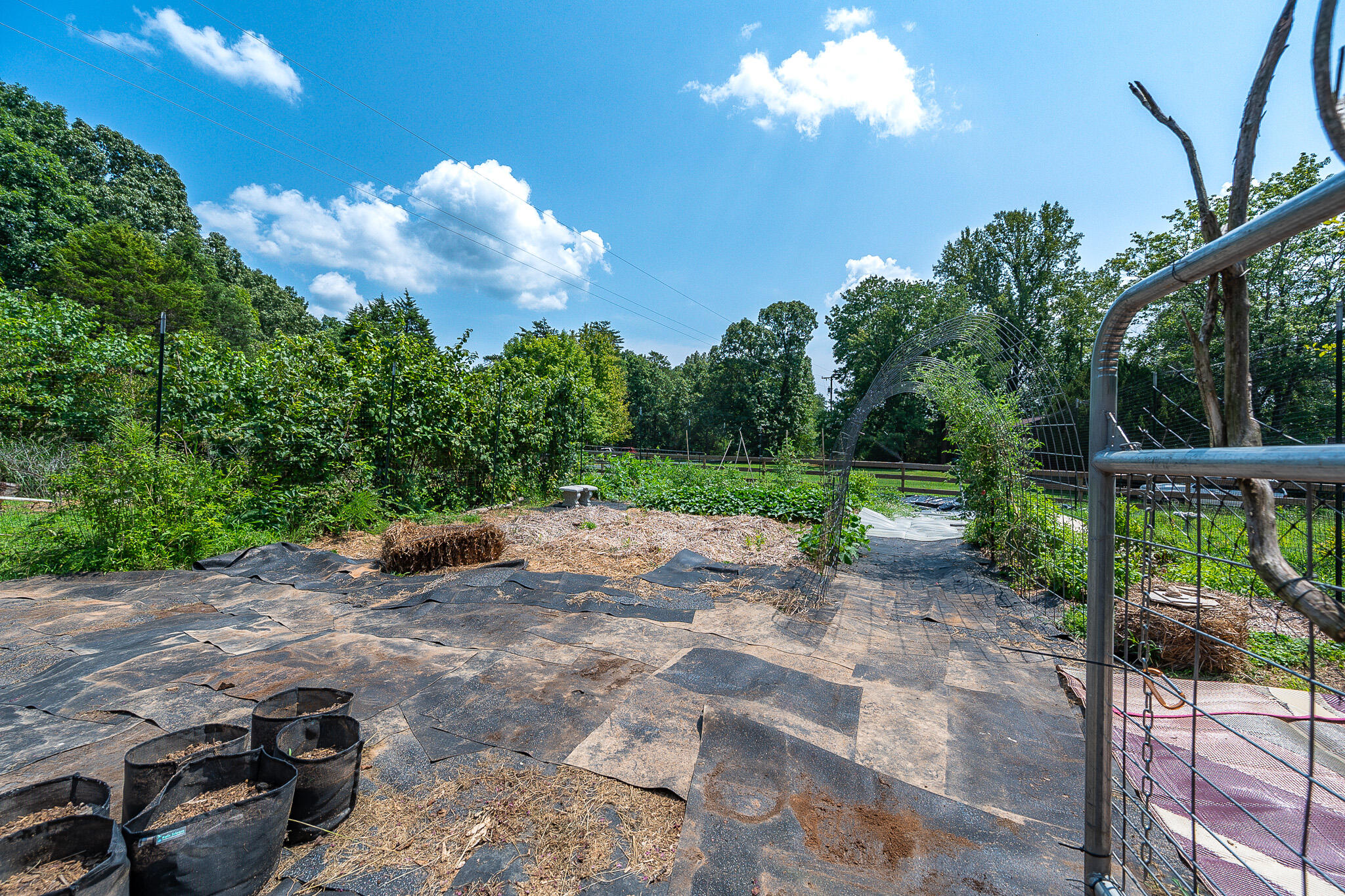 1481 Winesap Road Madison Heights, VA 24572 - Photo 36 of 43 36