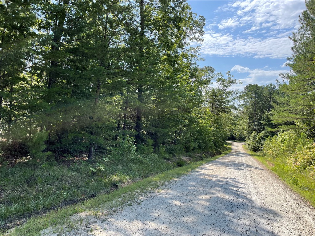 0 Whitewater Point Road Tamassee, SC 29686 - Photo 12 of 21 Gallery Image 12