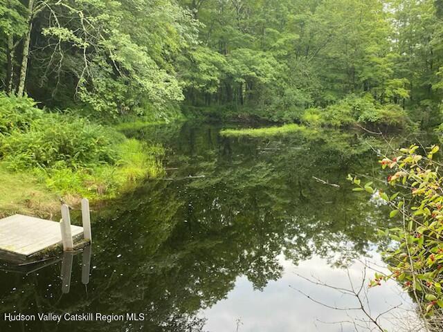 154 Lang Road Accord, NY 12404 - Photo 2 of 40 IMG_1014