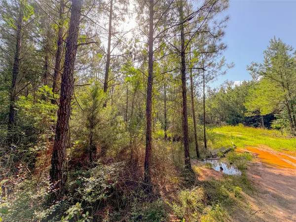 a view of an outdoor space and trees all around
