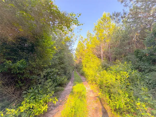 a view of a yard with swimming pool