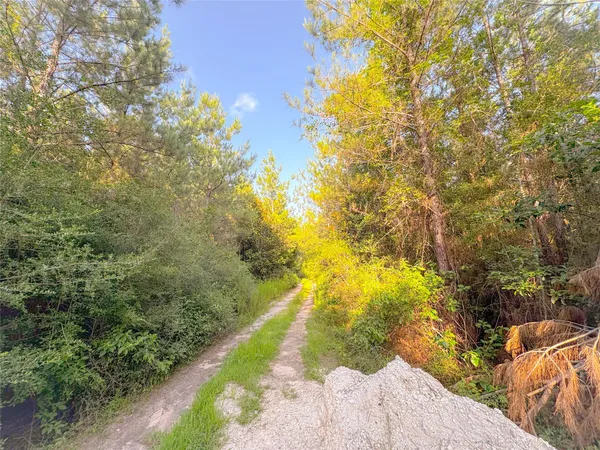 a view of a yard with flower plants