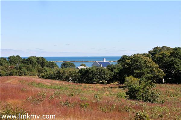 52 Waterview Road Oak Bluffs, MA 02557 - Photo 3 of 20 Water view from back of house - summer view