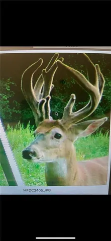 $1,500,000 | 548 Kingman Road, Quenemo, KS 66528