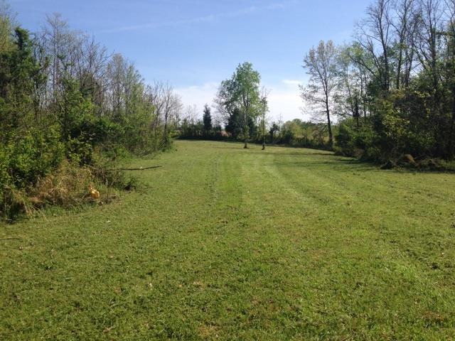 4015 Calista Road Cross Plains, TN 37049 - Photo 1 of 15 Gallery Image 1
