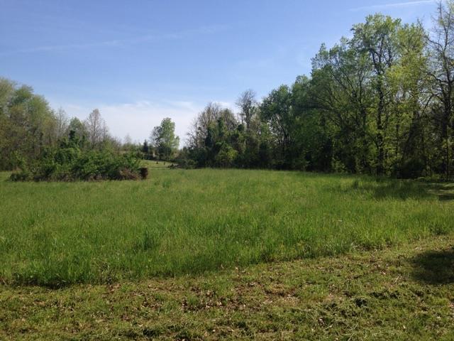 4015 Calista Road Cross Plains, TN 37049 - Photo 2 of 15 Gallery Image 2