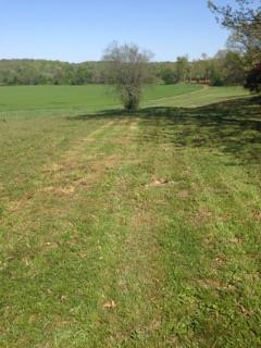 4015 Calista Road Cross Plains, TN 37049 - Photo 12 of 15 Gallery Image 12