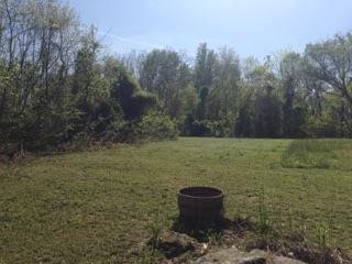 4015 Calista Road Cross Plains, TN 37049 - Photo 13 of 15 Gallery Image 13
