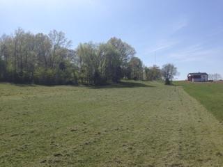 4015 Calista Road Cross Plains, TN 37049 - Photo 14 of 15 Gallery Image 14