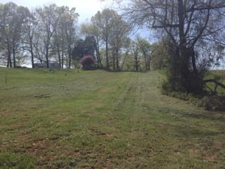 4015 Calista Road Cross Plains, TN 37049 - Photo 15 of 15 Gallery Image 15