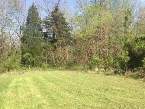 4015 Calista Road Cross Plains, TN 37049 - Photo 4 of 15 Gallery Image 4