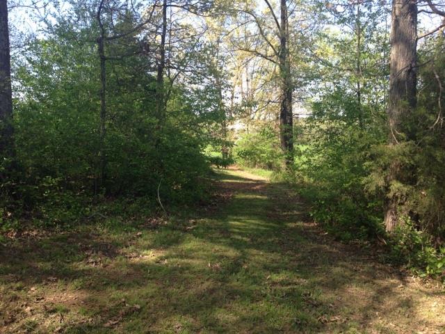 4015 Calista Road Cross Plains, TN 37049 - Photo 5 of 15 Gallery Image 5