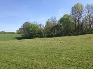 4015 Calista Road Cross Plains, TN 37049 - Photo 7 of 15 Gallery Image 7